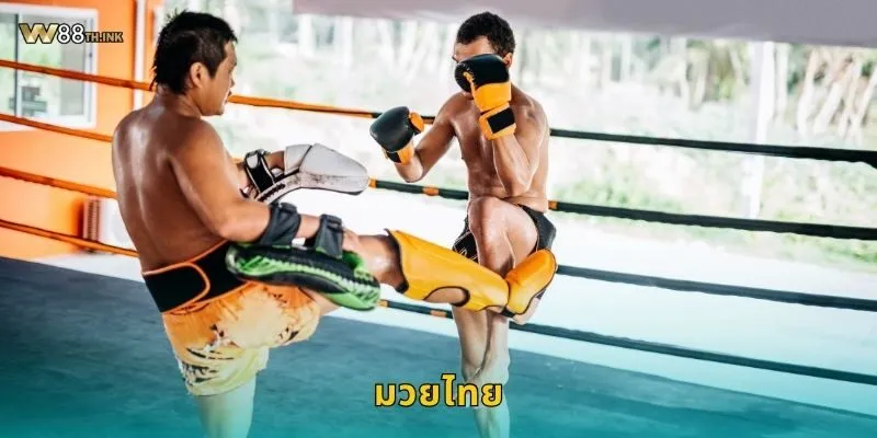 มวยไทย ศิลปะการต่อสู้แห่งชาติ – เดิมพันมันทุกยกที่ W88