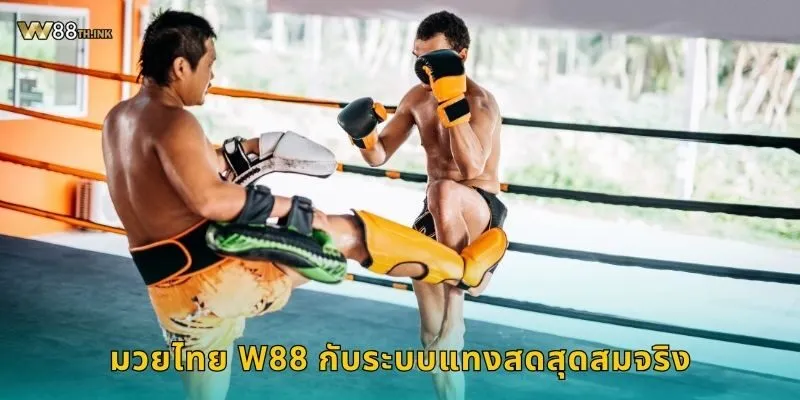 มวยไทย W88 กับระบบแทงสดสุดสมจริง